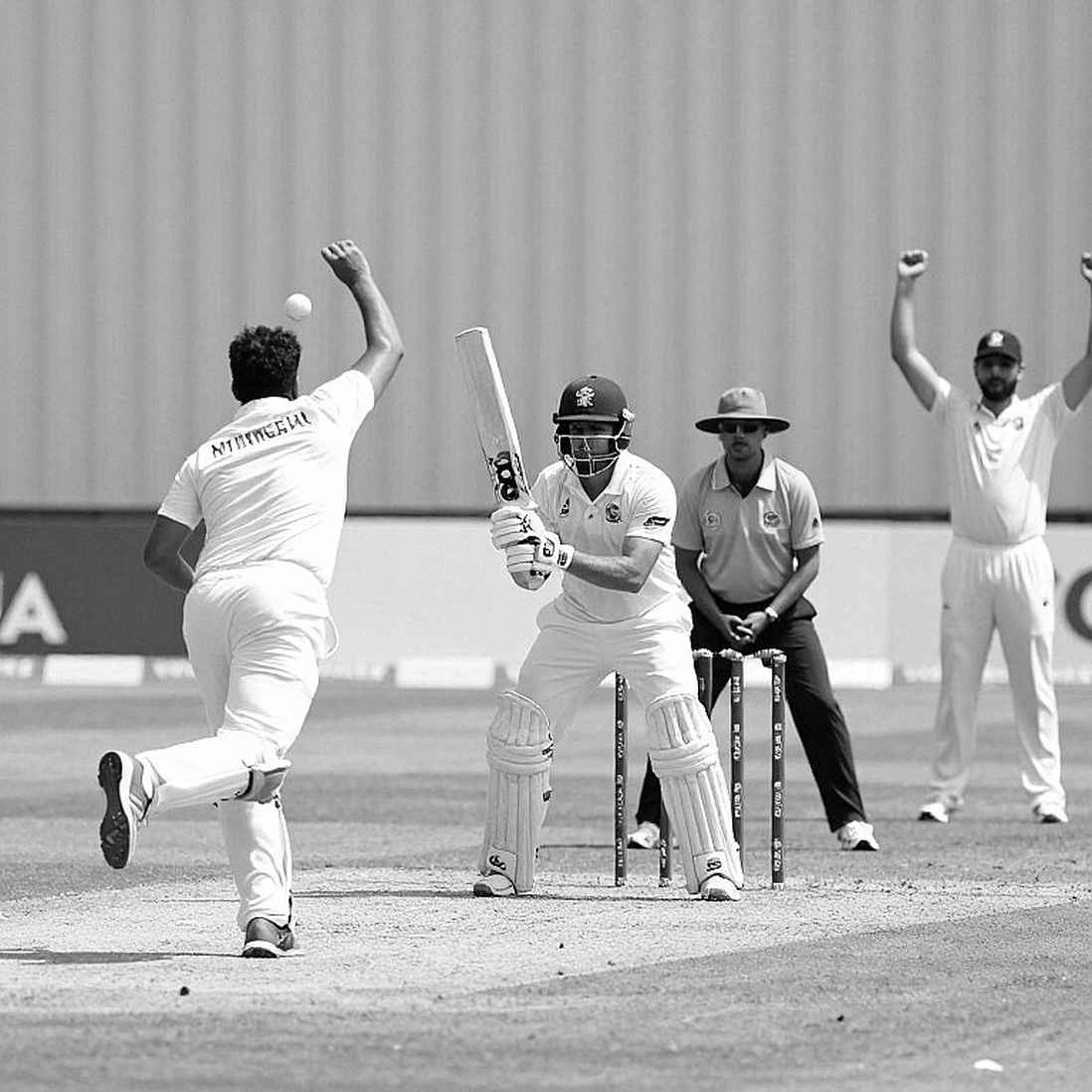 Cricket's Token Economy: From IPL Auctions to Fan Tokens — Who Actually Prices a Player?